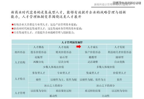 新組織設(shè)計(jì)管理咨詢項(xiàng)目建議書