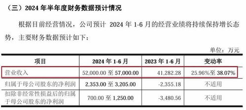 ipo再跨一步,?？低暤?兄弟 穩(wěn)了嗎