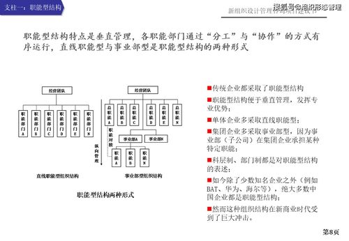 新組織設(shè)計管理咨詢項目建議書